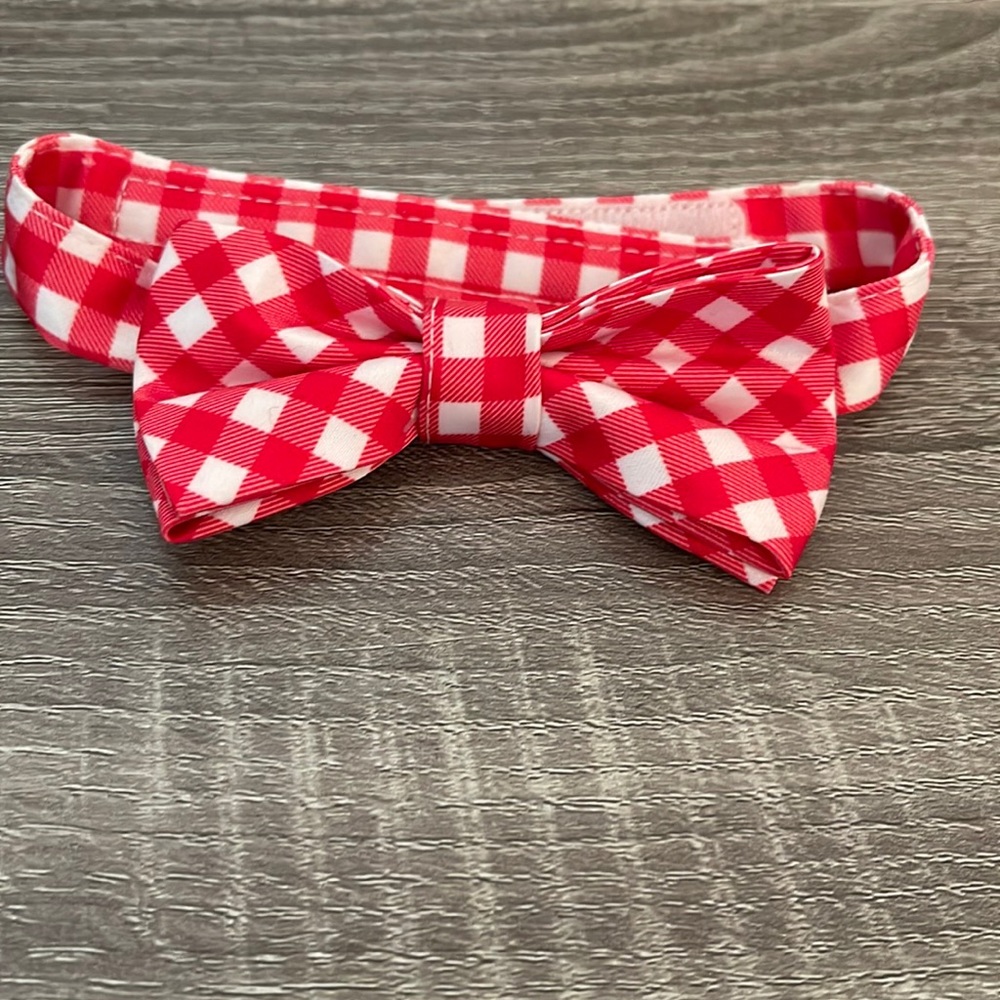 Baby Bowtie